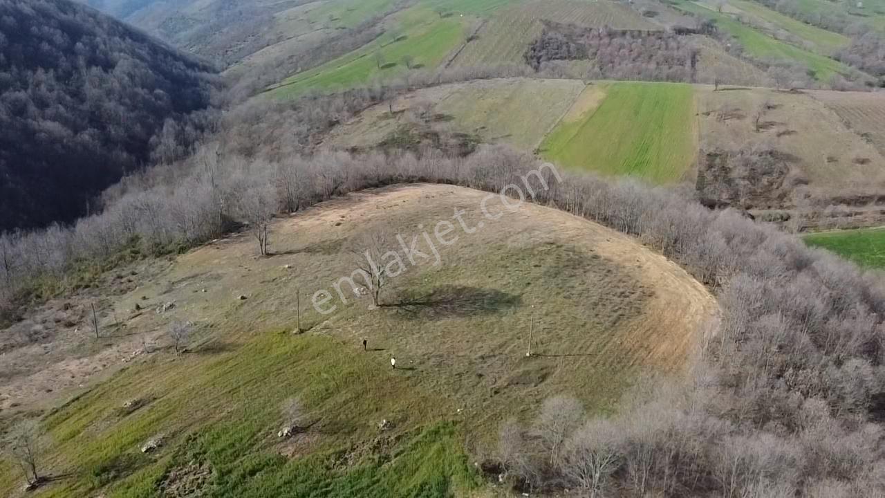 Çanakkale Biga Elmalı Köyünde 6.400 M2 Tarla