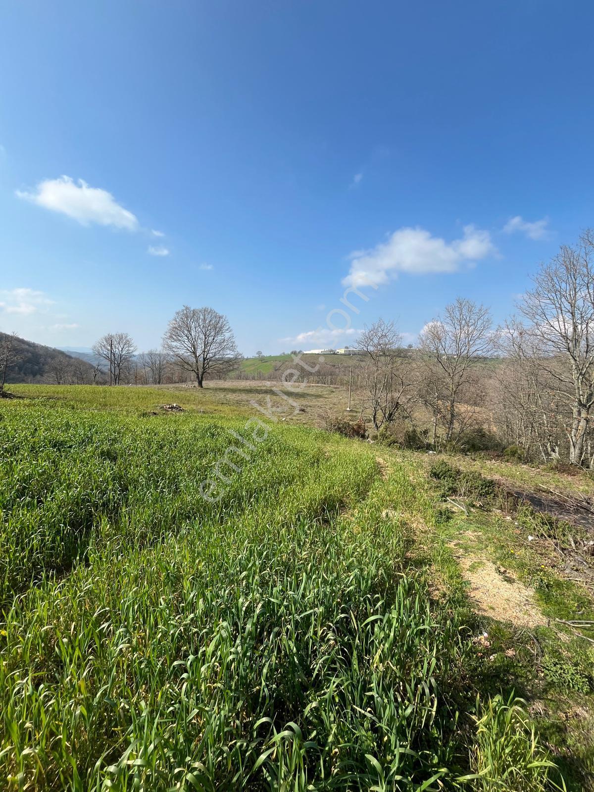 Çanakkale Biga Elmalı Köyünde 6.400 M2 Tarla - Görsel 12