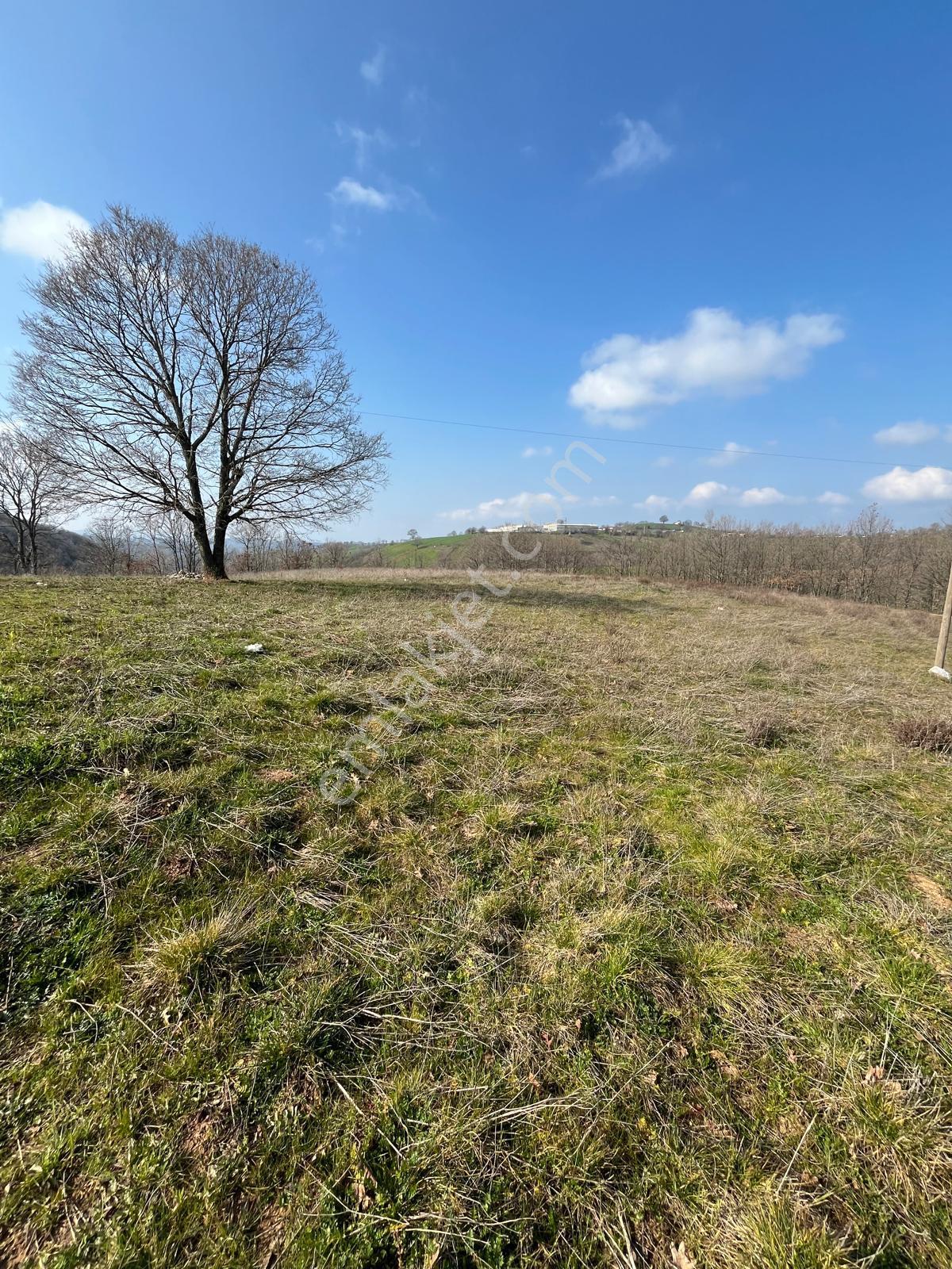 Çanakkale Biga Elmalı Köyünde 6.400 M2 Tarla - Görsel 11