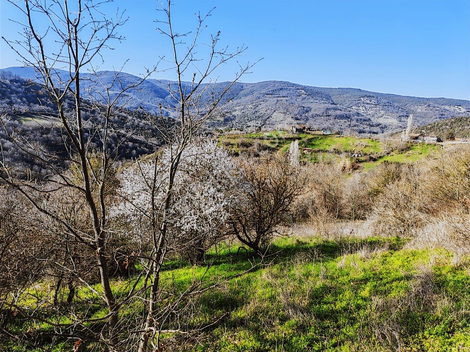 Gönen Yörükkeçiderede 23.141 M² Yola Cephe | Projeli Yatırımlık - Görsel 16