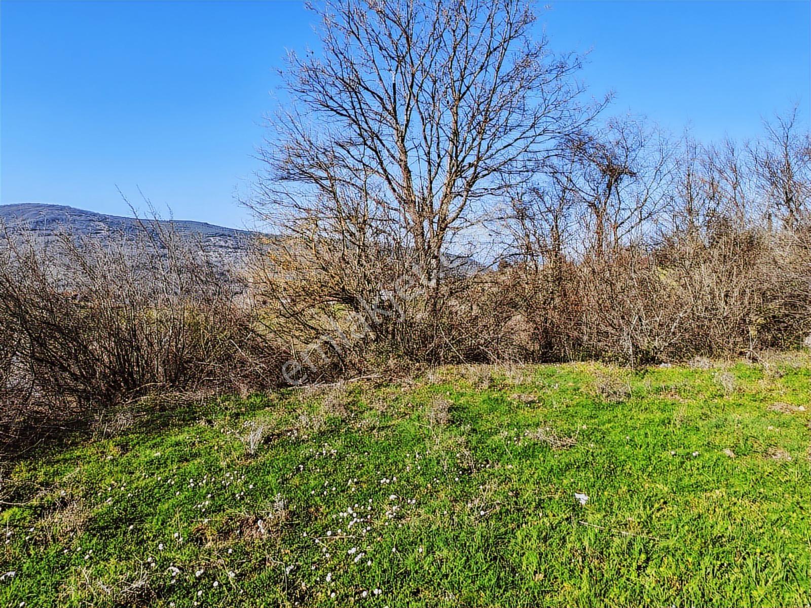 Gönen Yörükkeçiderede 23.141 M² Yola Cephe | Projeli Yatırımlık - Görsel 15