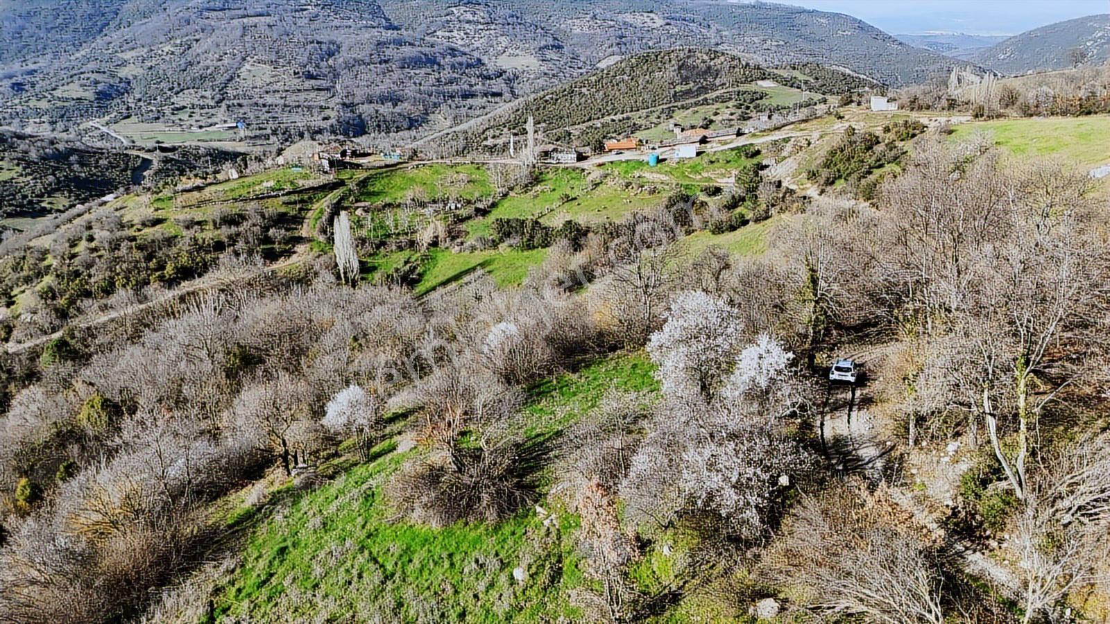 Gönen Yörükkeçiderede 23.141 M² Yola Cephe | Projeli Yatırımlık - Görsel 18