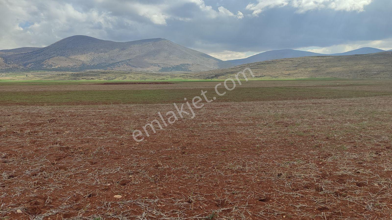 Korkuteli İmecik Köyü Satılık 957m2 Tarla - Görsel 3