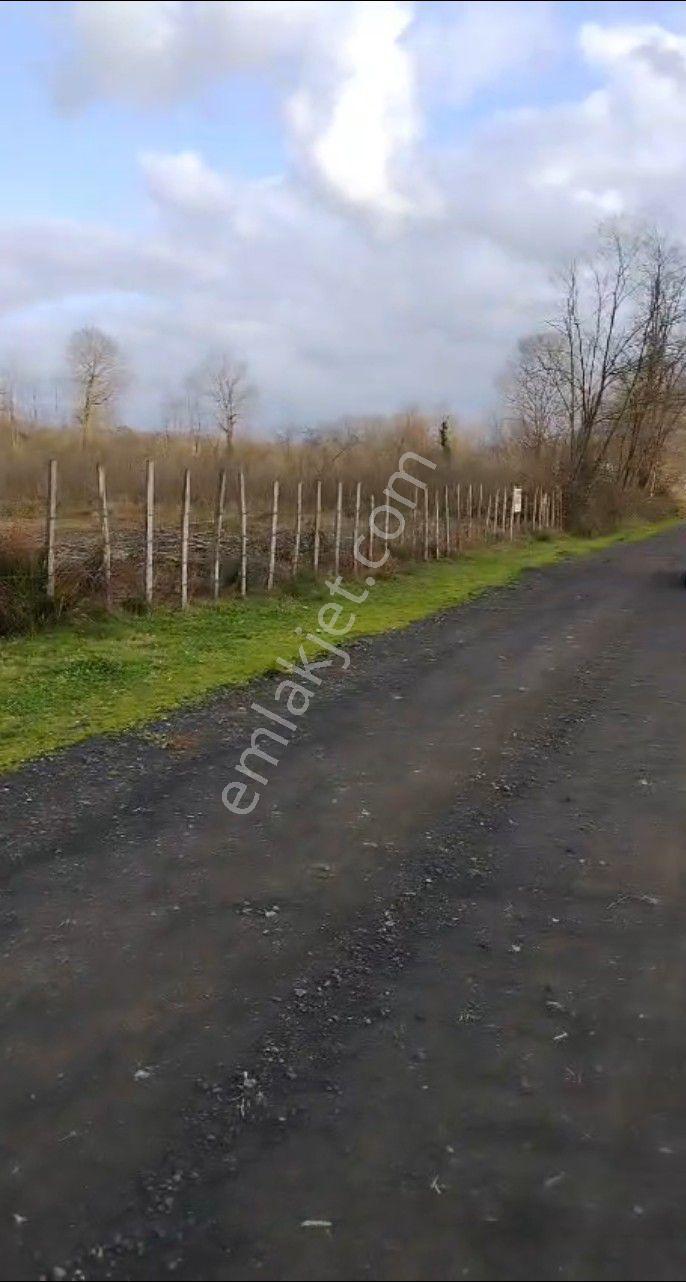 Satılık Tarla Bahçesi Yatırımlık Yol Üstu Yakınından Yer - Görsel 7