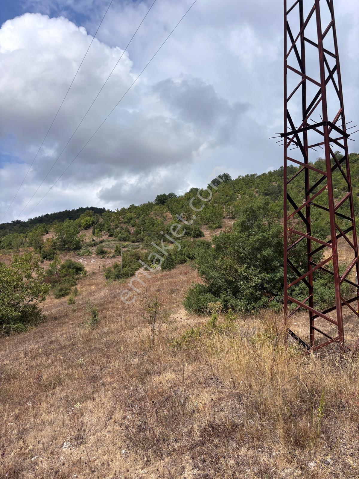 Ev Yapmaya Ve Hayvan Çiftliği 19 Büyük Baş Ahır İzni Var 4602 M2 - Görsel 20