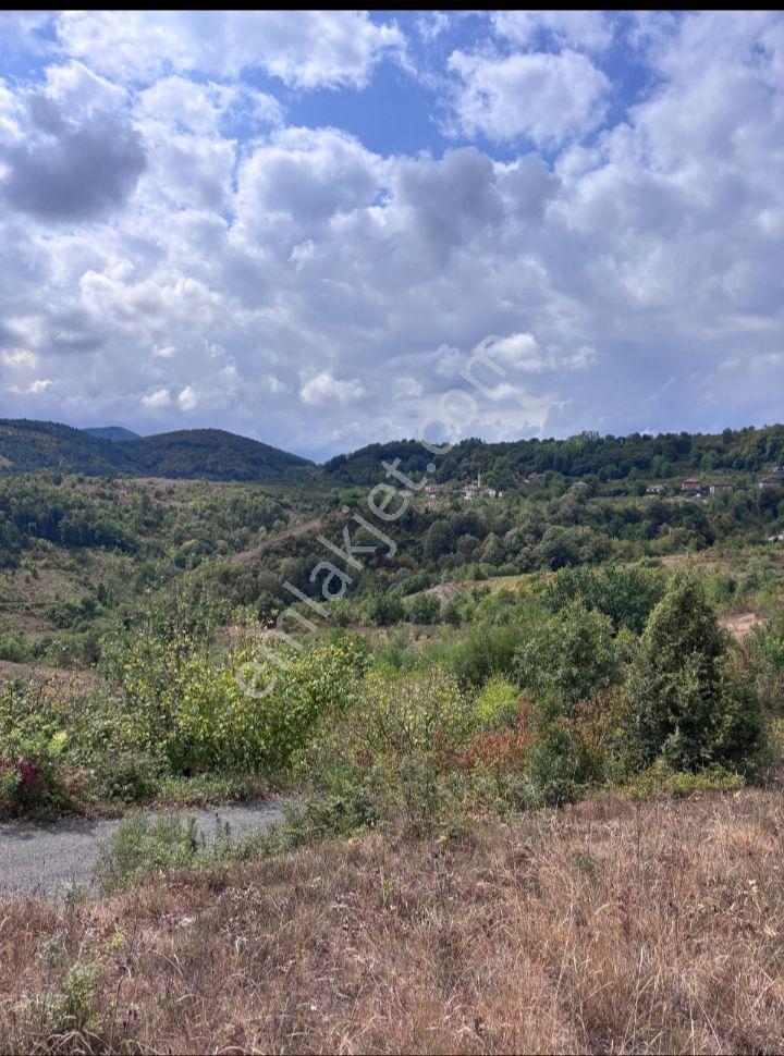Ev Yapmaya Ve Hayvan Çiftliği 19 Büyük Baş Ahır İzni Var 4602 M2 - Görsel 26