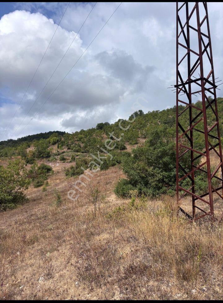 Ev Yapmaya Ve Hayvan Çiftliği 19 Büyük Baş Ahır İzni Var 4602 M2 - Görsel 24