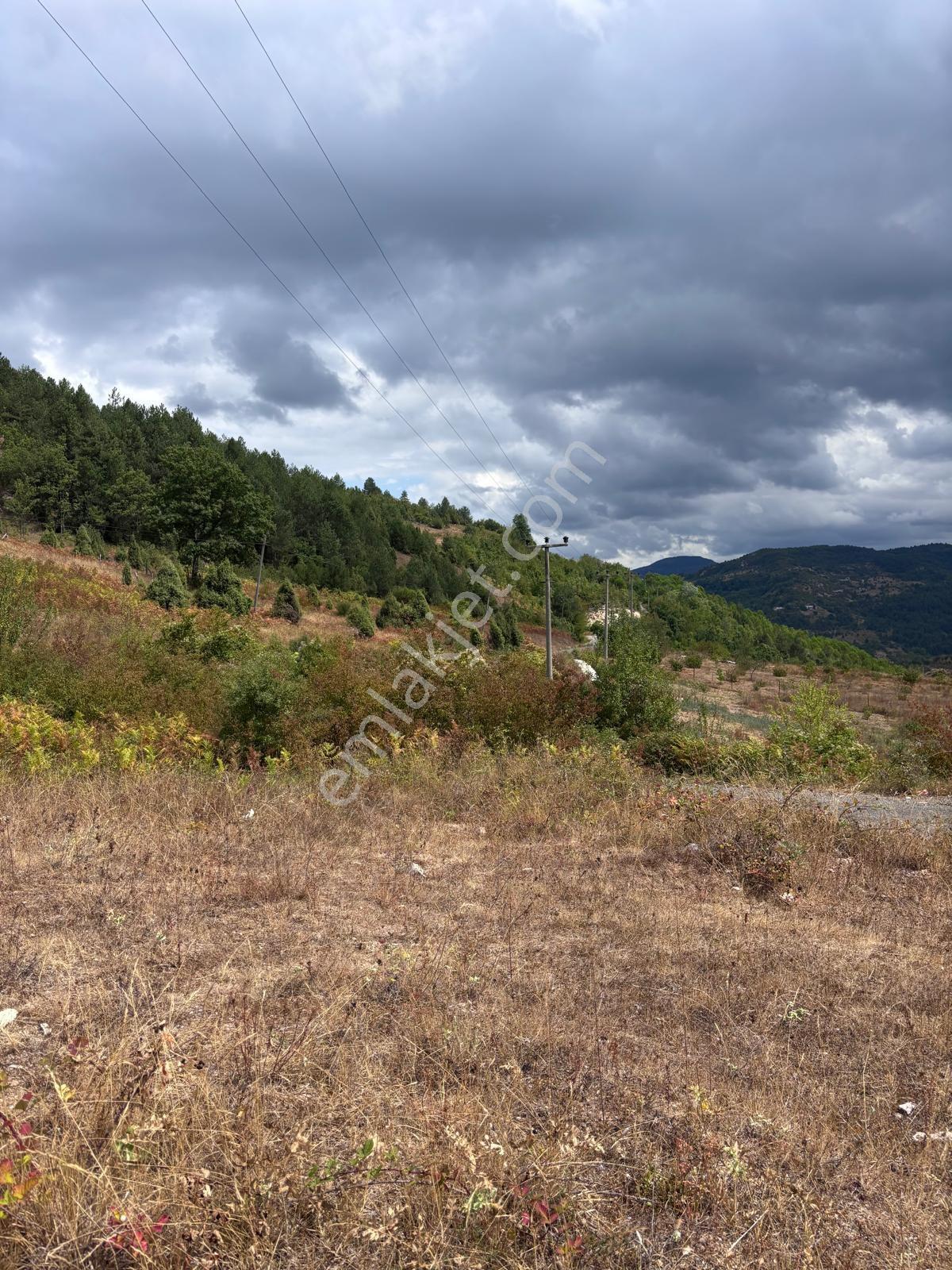 Ev Yapmaya Ve Hayvan Çiftliği 19 Büyük Baş Ahır İzni Var 4602 M2 - Görsel 10