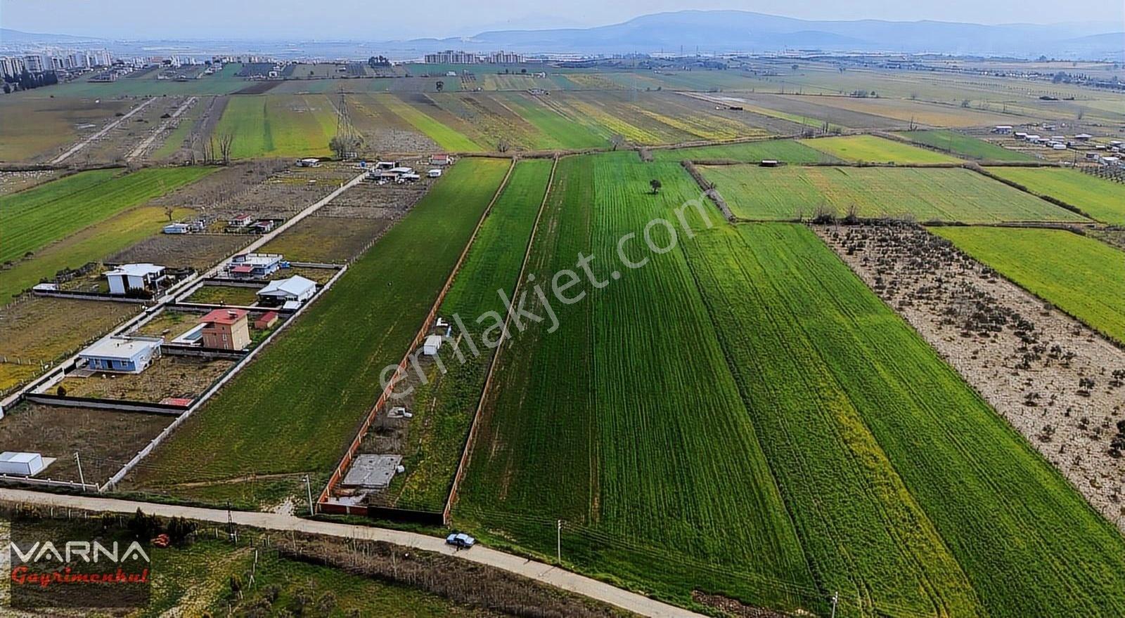Oğlananasında Satılık Tektapu 11.385m2 Yol Cepheli Kelepir Arazi - Görsel 3