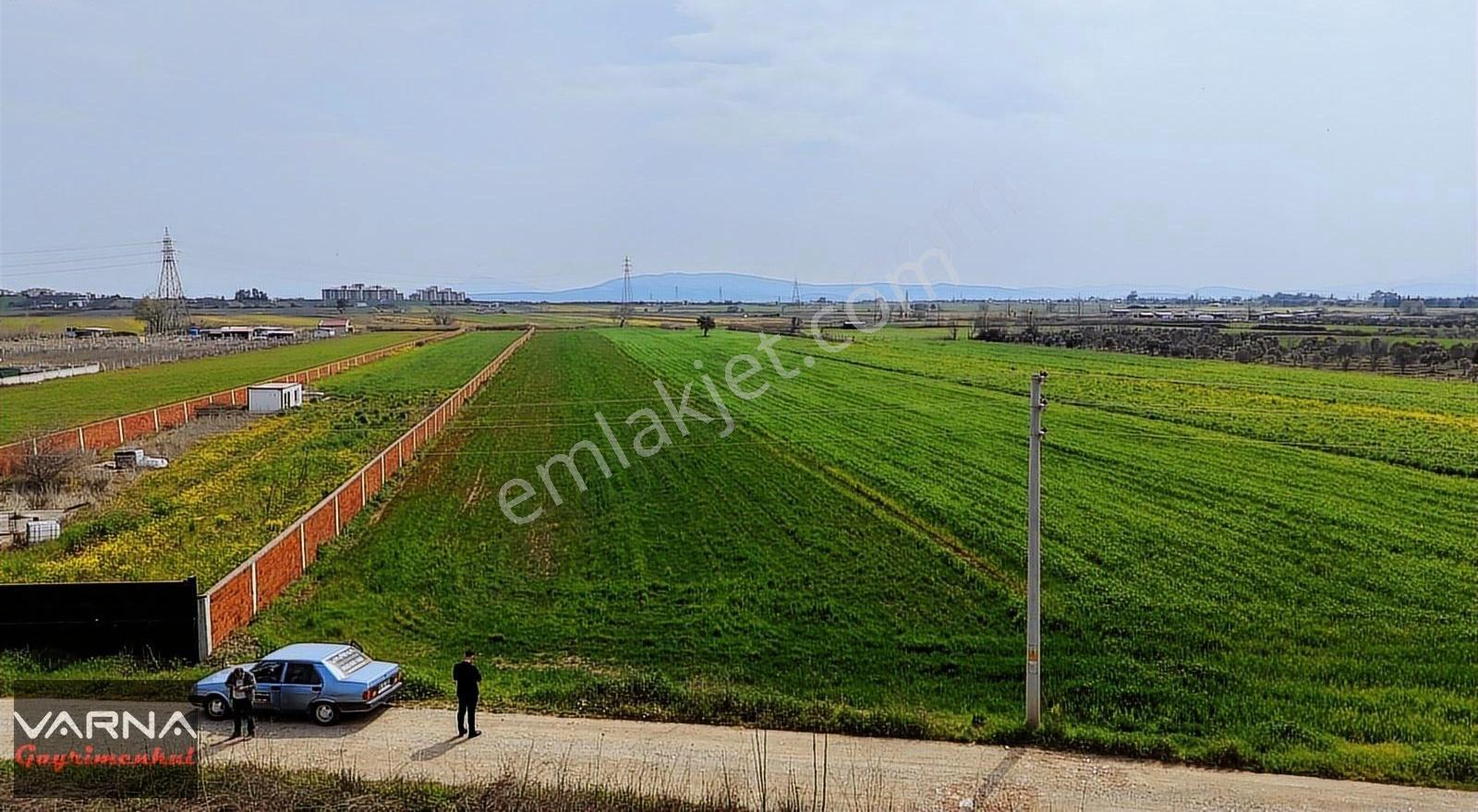 Oğlananasında Satılık Tektapu 11.385m2 Yol Cepheli Kelepir Arazi