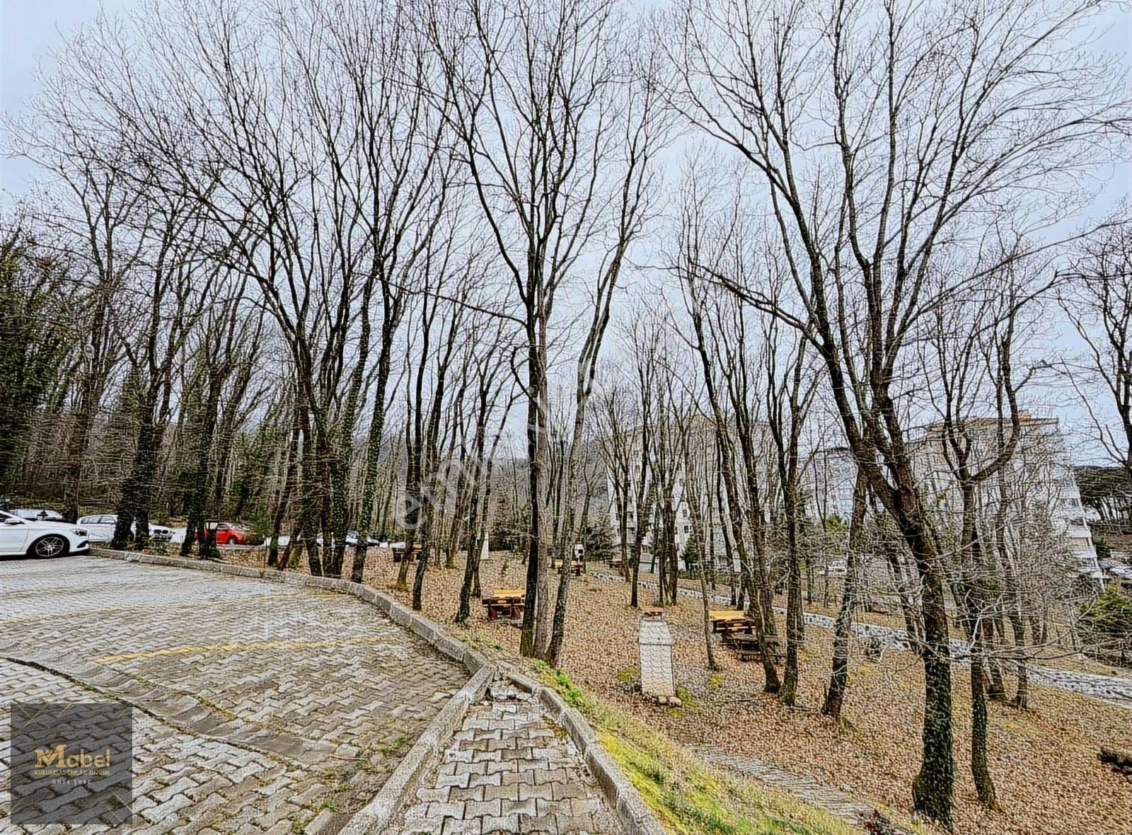 Denizin Mavisi Doğanın Yeşiliyle Doğal Lüx Bir Yaşamda 4+1 - Görsel 26