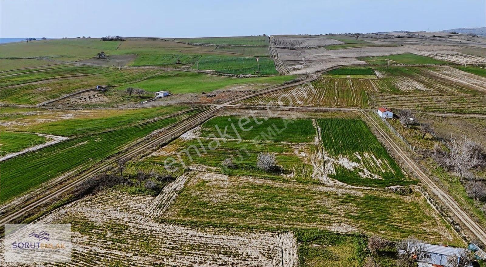 Enez Büyükevren'de 1142 M² Satılık Yatırım Fırsatı - Görsel 2