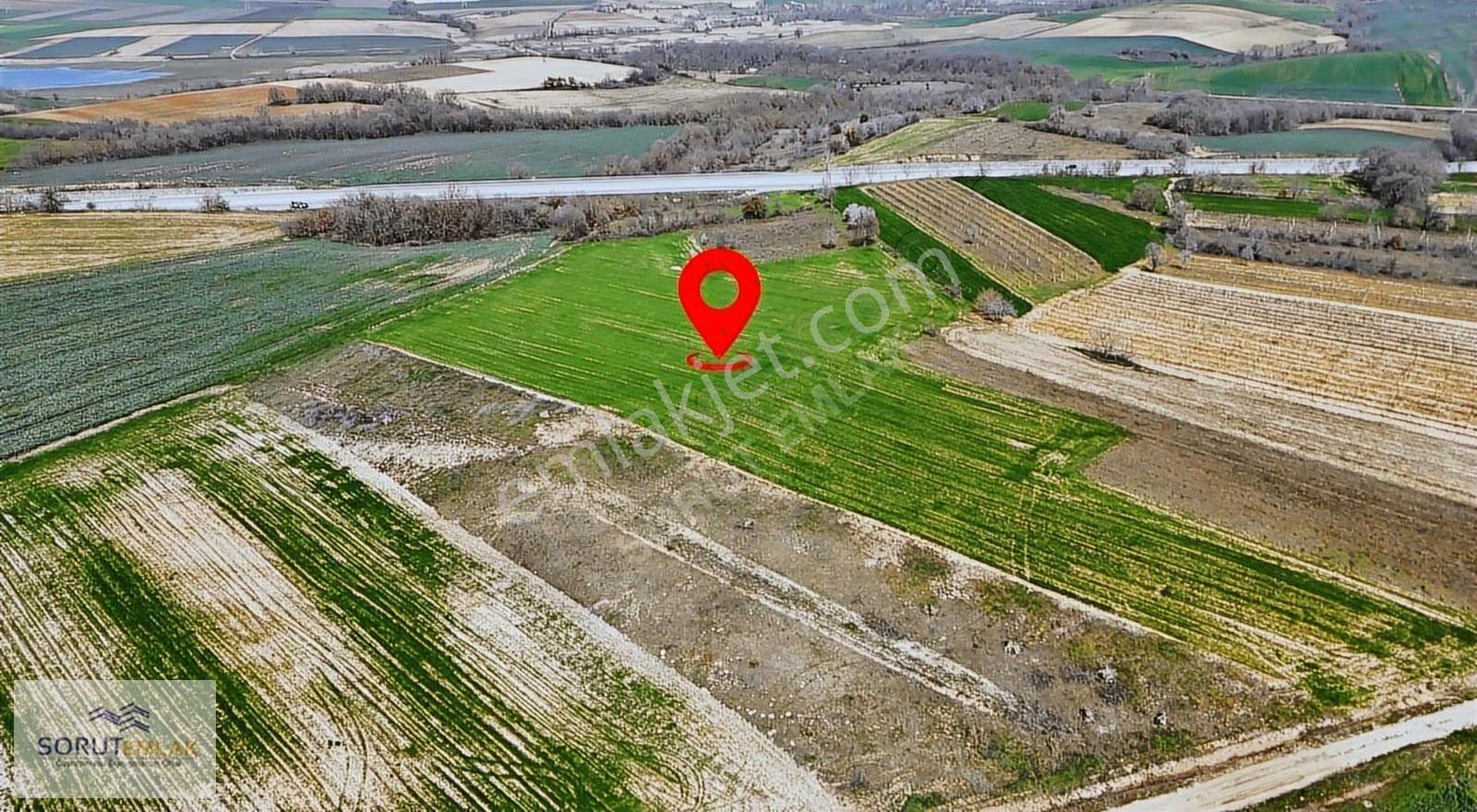 Otoyola Cepheli Satılık Tarla: 9.250 M² Yatırım Fırsatı