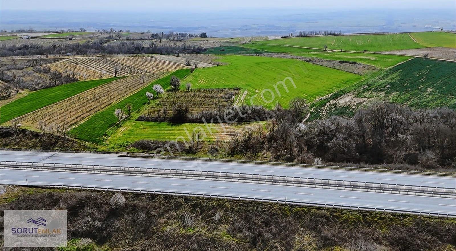 Otoyola Cepheli Satılık Tarla: 9.250 M² Yatırım Fırsatı - Görsel 8