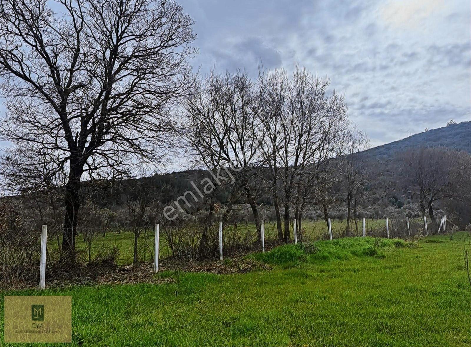 Yerkeşik'te İçerisinde Prefabrik Yapının Olduğu 1.250 M2 Arazi - Görsel 2