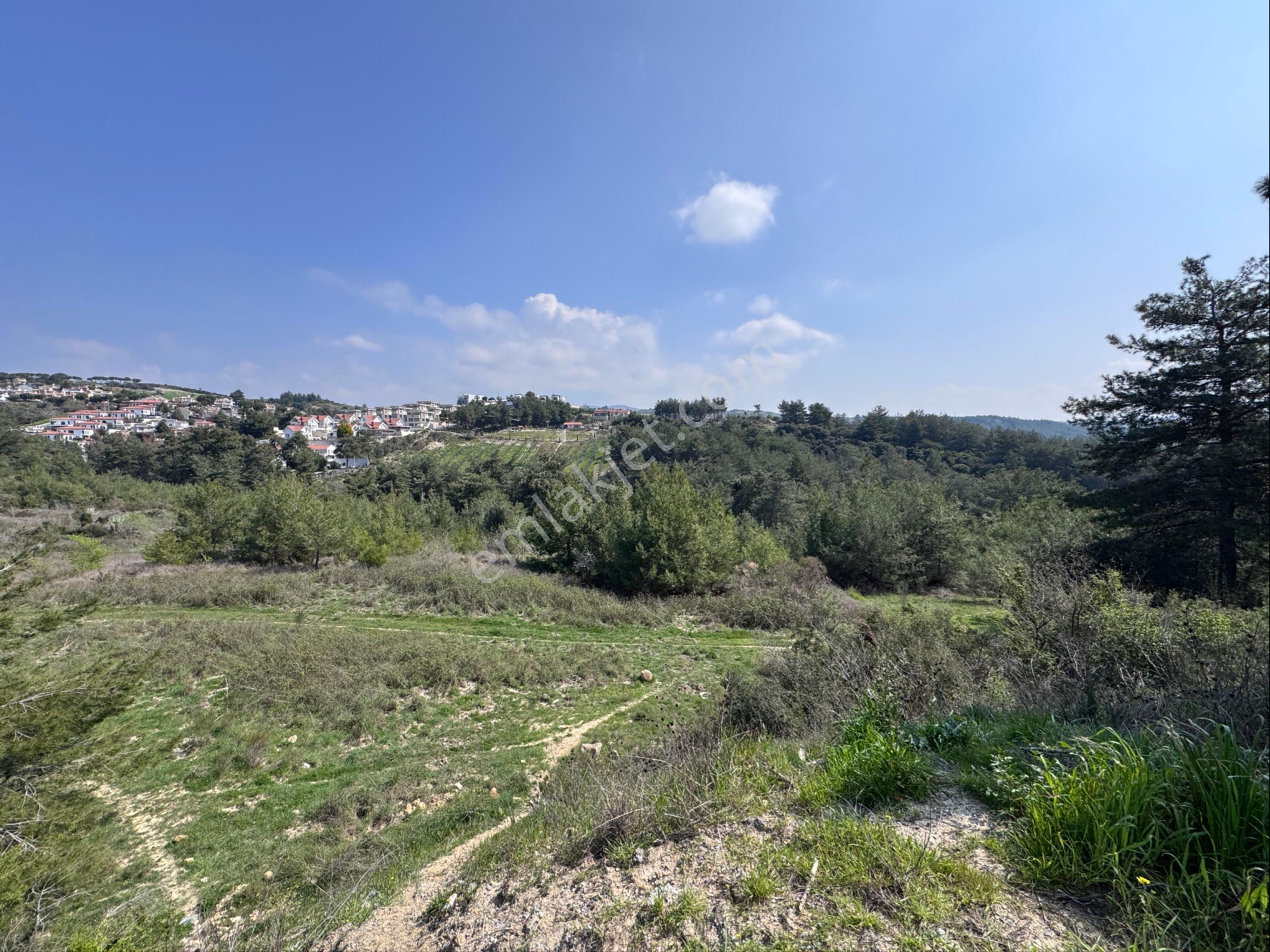 Kuşadası Soğucakta 1158 M2 Ayrık Nizam 2 Kat İmarlı Satılık Arsa - Görsel 7