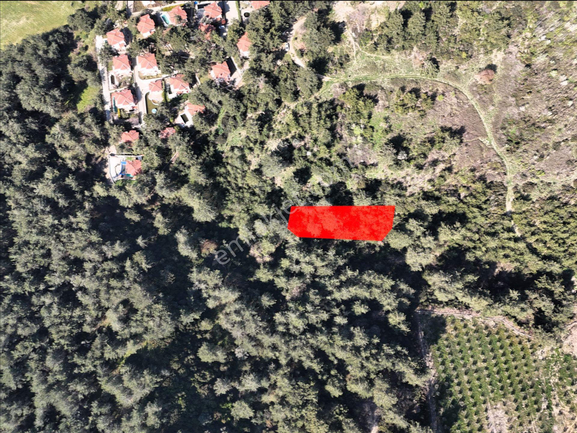 Kuşadası Soğucakta 1158 M2 Ayrık Nizam 2 Kat İmarlı Satılık Arsa - Görsel 3