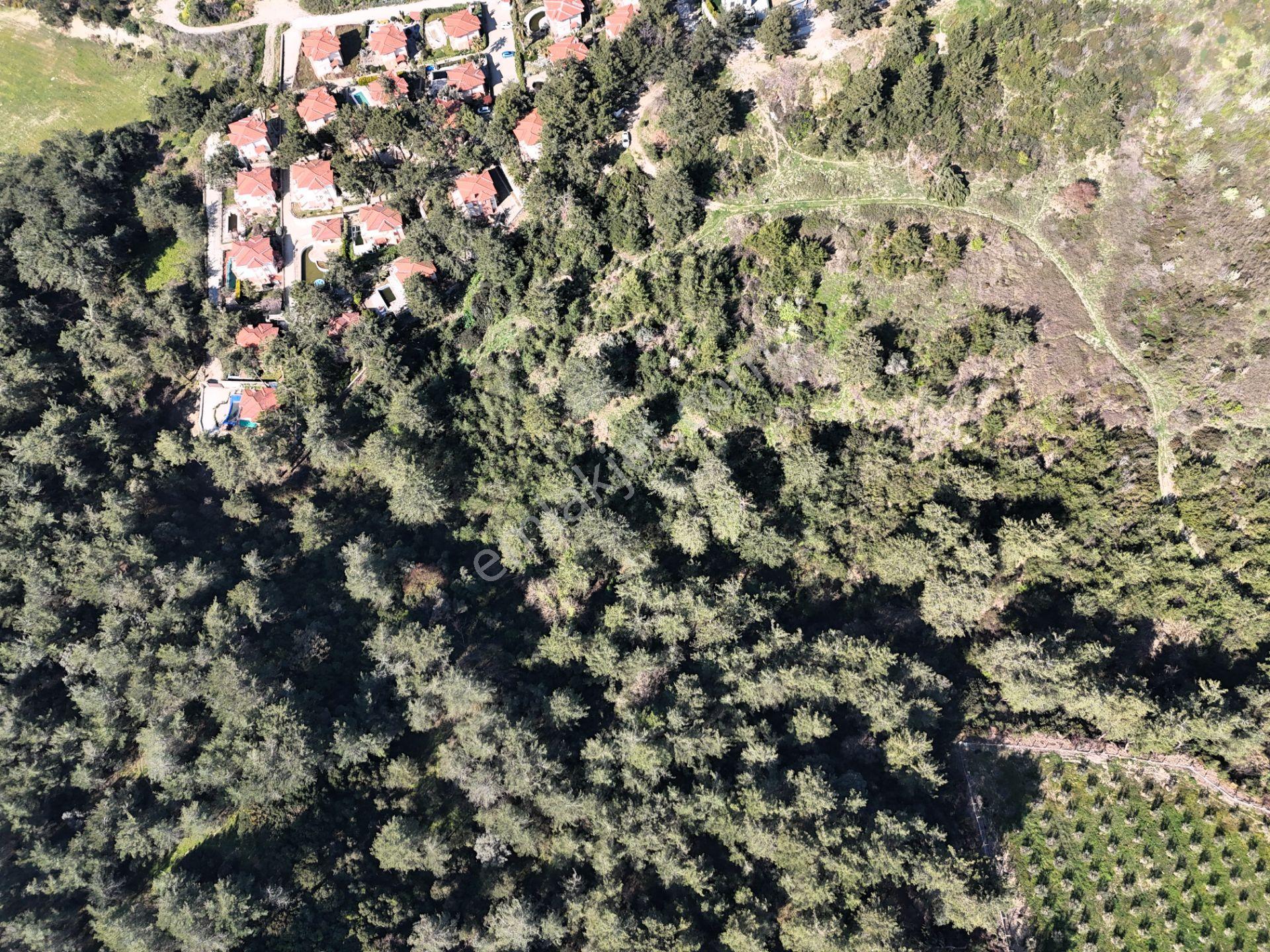 Kuşadası Soğucakta 1158 M2 Ayrık Nizam 2 Kat İmarlı Satılık Arsa - Görsel 6