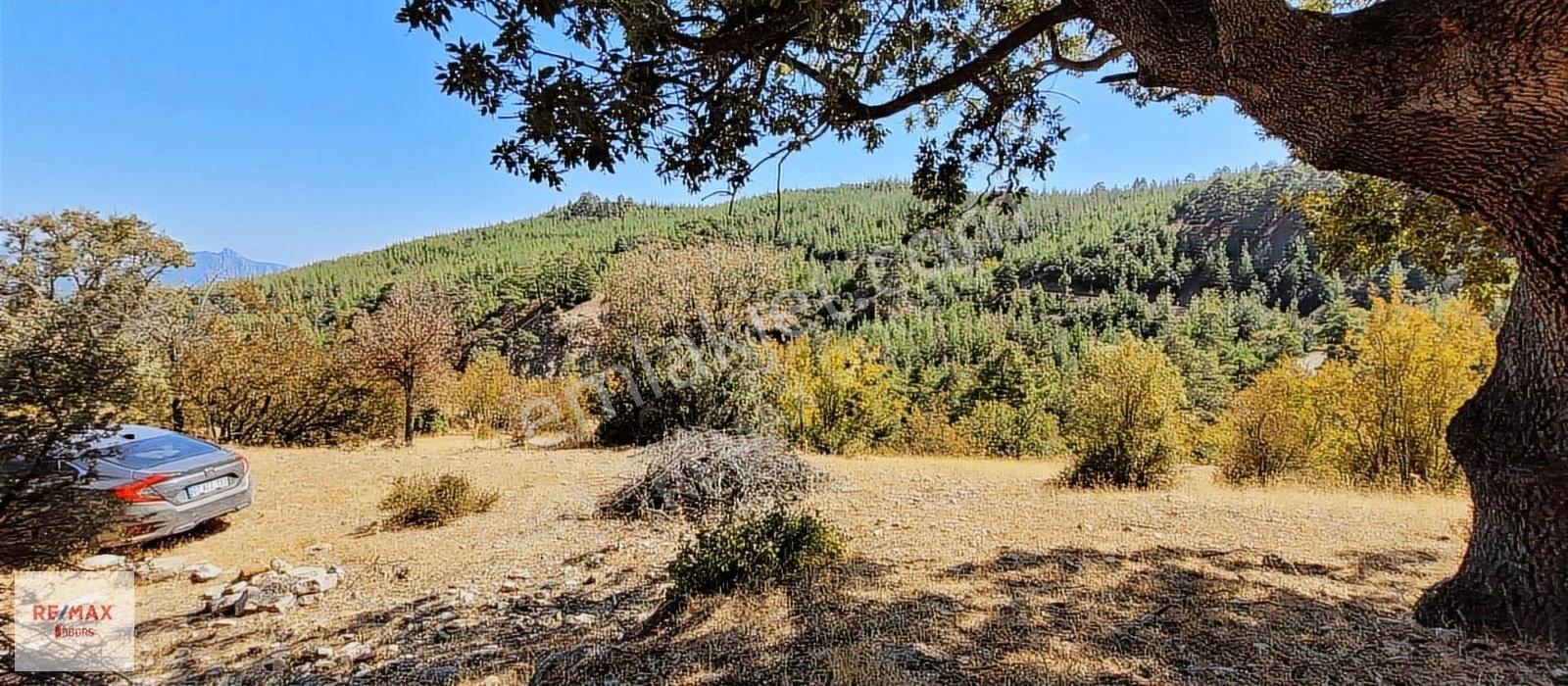 Korkuteli Güzle'de Uygun Fiyatlı 20 Dönüme Yakın Müstakil Tarla - Görsel 6