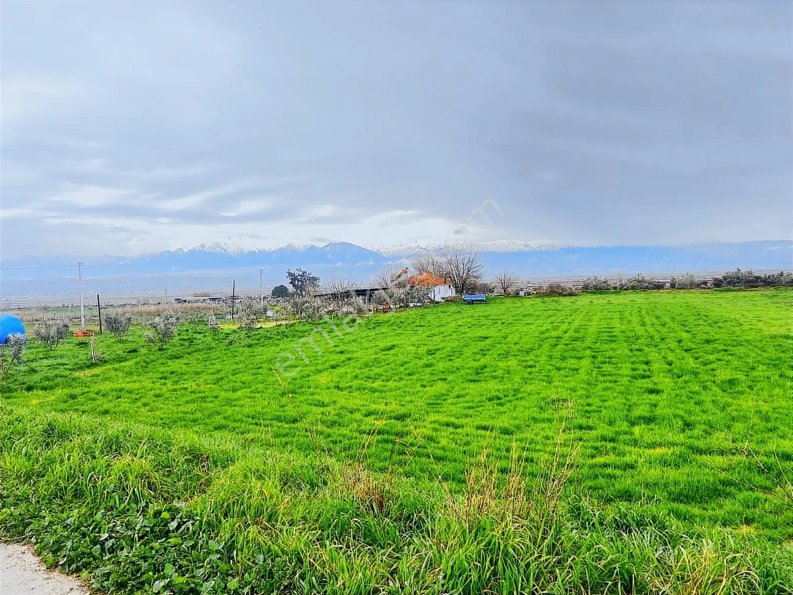 Pamukkale Akköy'de Satılık İmarlı Parseller - Yatırım Fırsatı!