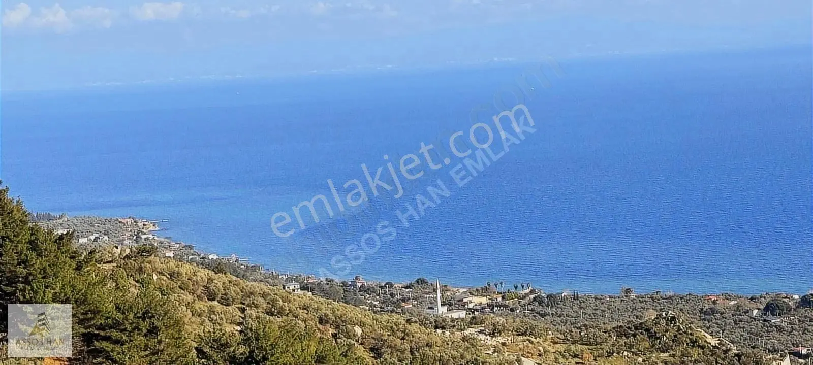 Assos Sazlı Köyü'nde Panoramik Deniz Manzaralı 7934m² Zeytinlik - Görsel 2