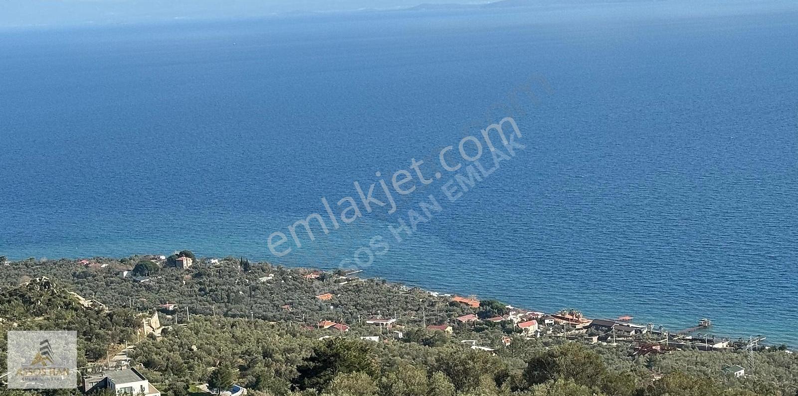 Assos Sazlı Köyü'nde Panoramik Deniz Manzaralı 7934m² Zeytinlik - Görsel 6