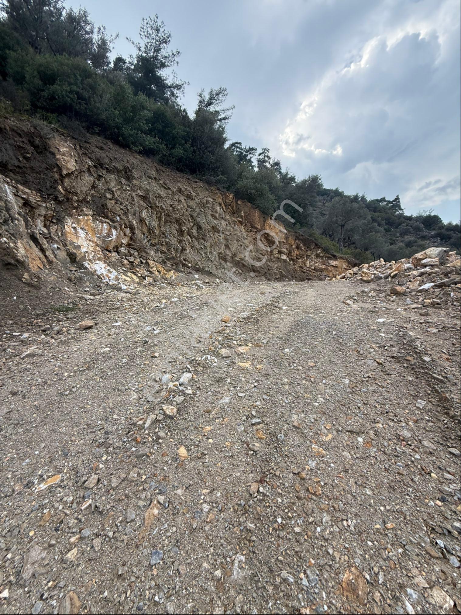 Aydın Koçarlı Tığıllar Mahallesinde Satılık İmarlı Arsa - Görsel 6