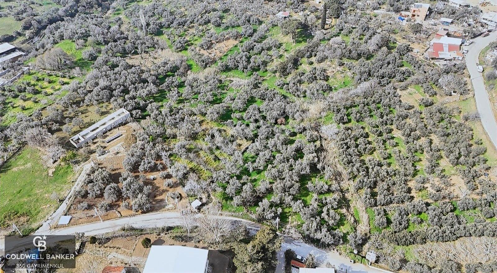Bayraklı, Doğançay Mah., 1.061 M2 Satılık Tarla - Görsel 8
