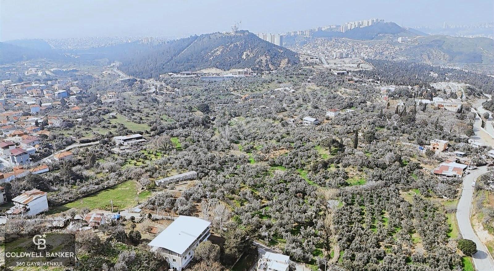 Bayraklı, Doğançay Mah., 1.061 M2 Satılık Tarla