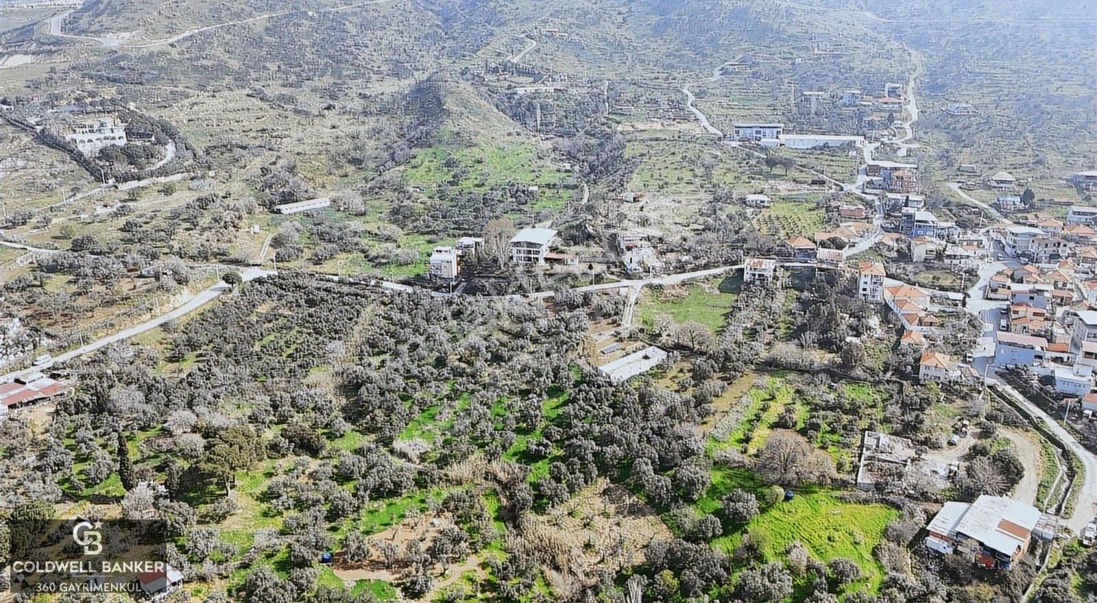 Bayraklı, Doğançay Mah., 1.061 M2 Satılık Tarla - Görsel 10