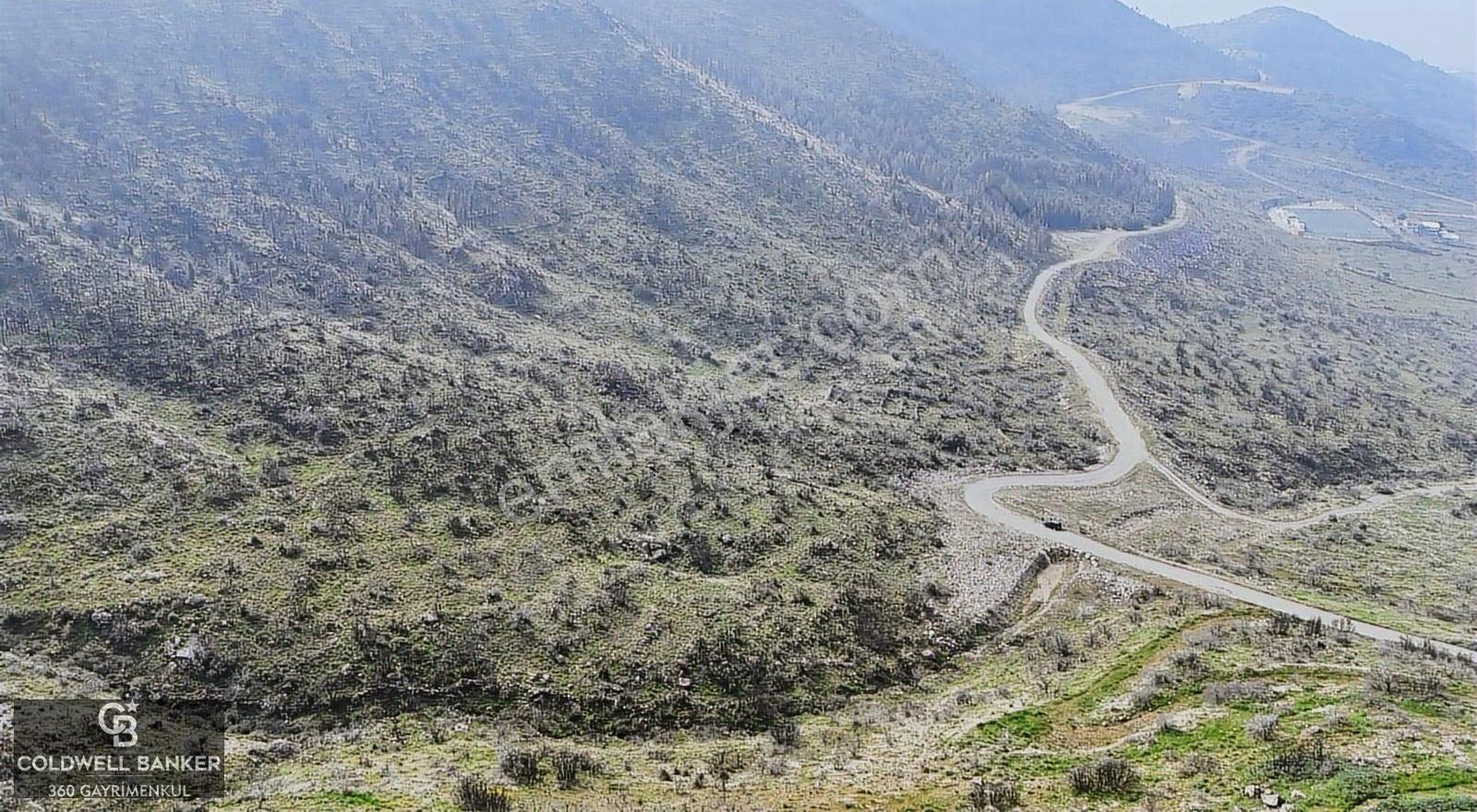 Bayraklı, Doğançay Mah., 1.496 M2 Satılık Tarla - Görsel 8