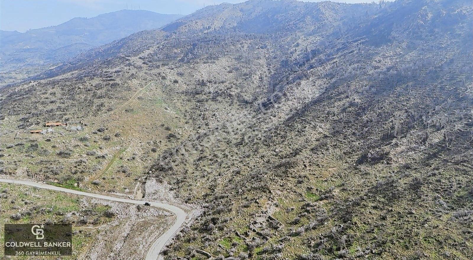 Bayraklı, Doğançay Mah., 1.496 M2 Satılık Tarla - Görsel 4