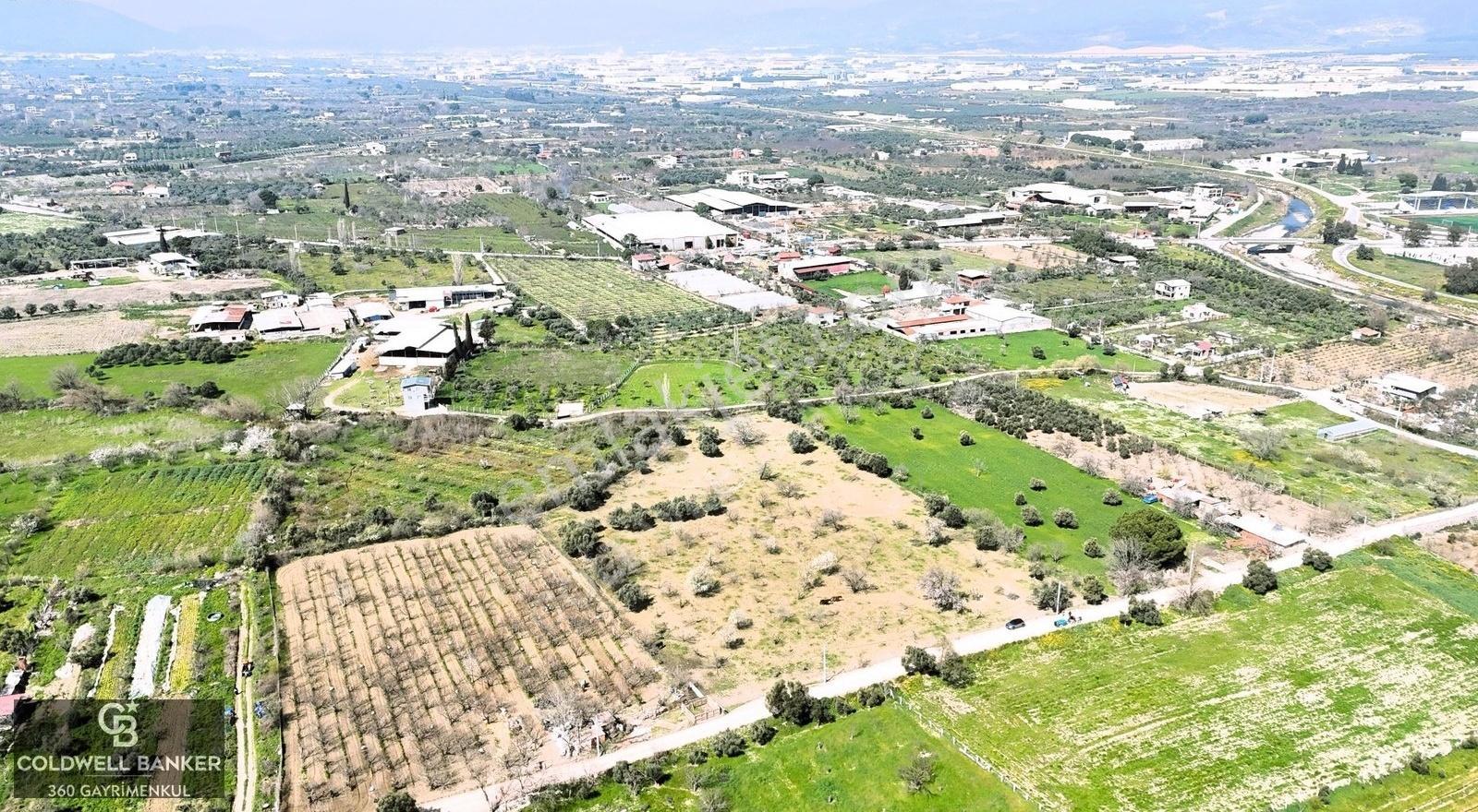 Kemalpaşa'da Kadastrol Yola Cepheli 6313 M2 Satılık Tarla - Görsel 10