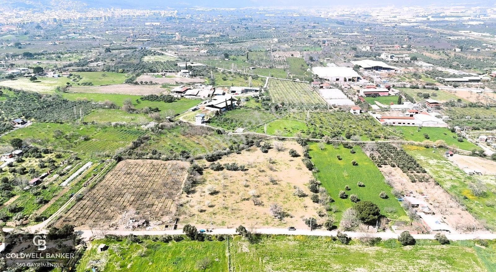 Kemalpaşa'da Kadastrol Yola Cepheli 6313 M2 Satılık Tarla - Görsel 11