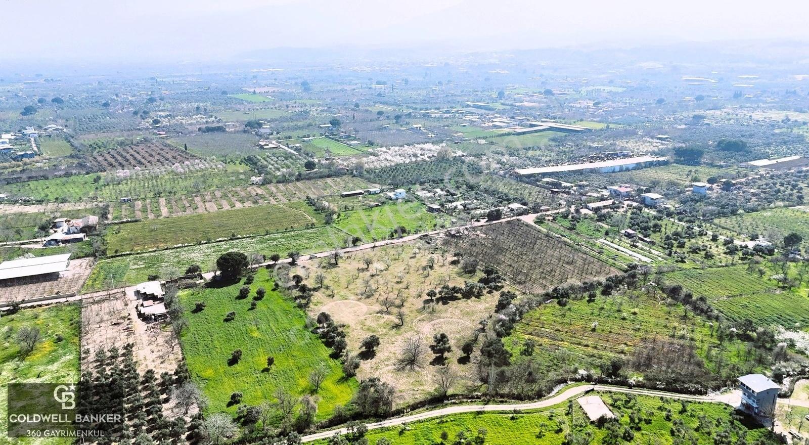 Kemalpaşa'da Kadastrol Yola Cepheli 6313 M2 Satılık Tarla - Görsel 14