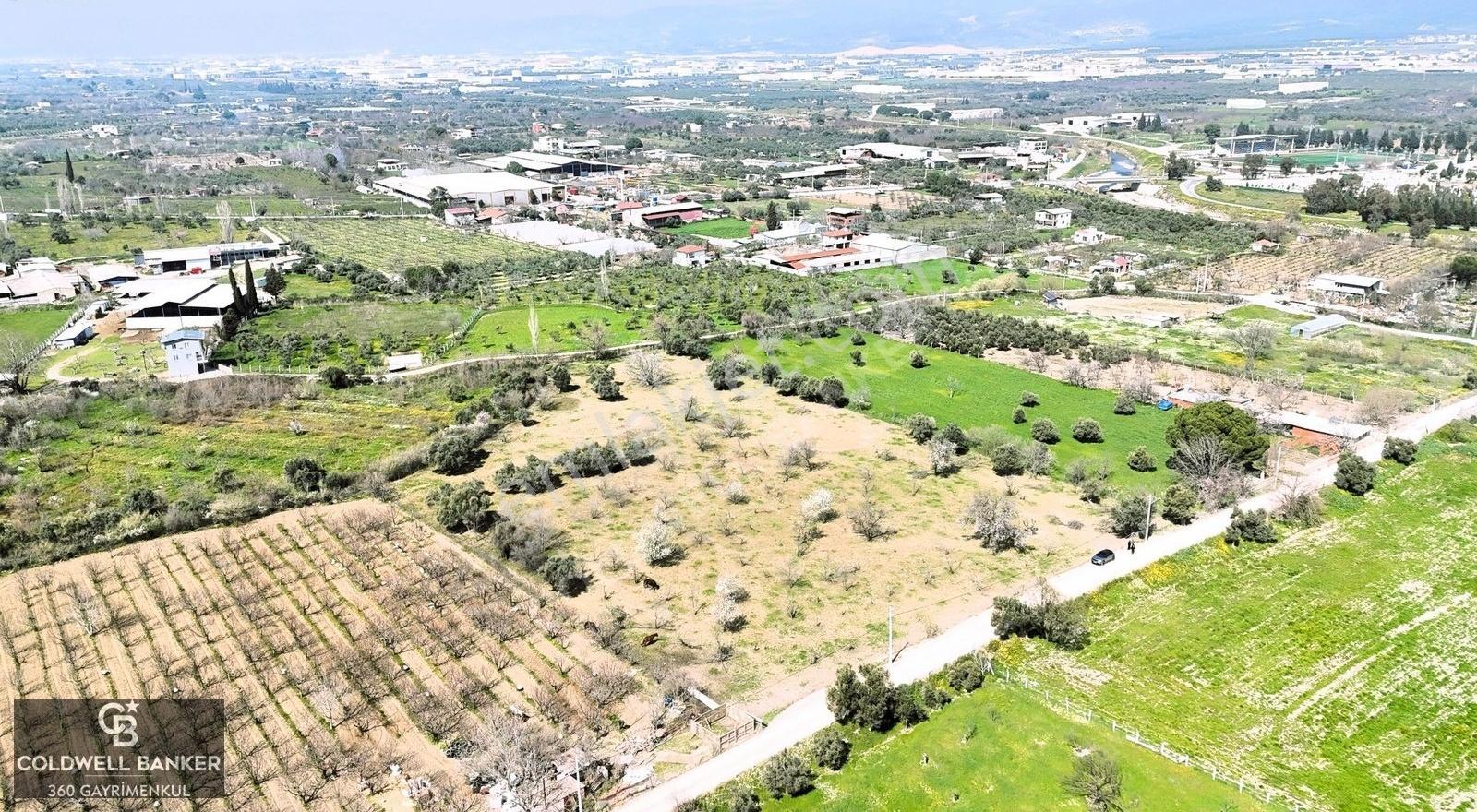 Kemalpaşa'da Kadastrol Yola Cepheli 6313 M2 Satılık Tarla - Görsel 4