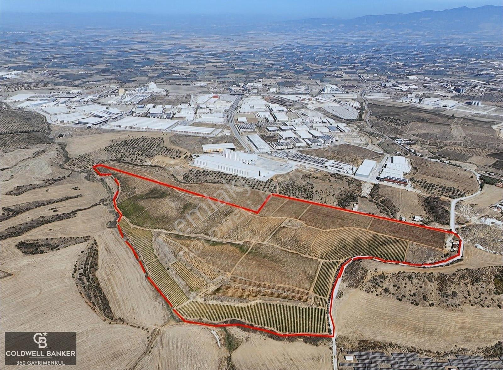 Manisa Turgutlu Osb'ye Komşu 253 Dönüm Yatırım Fırsatı - Görsel 6