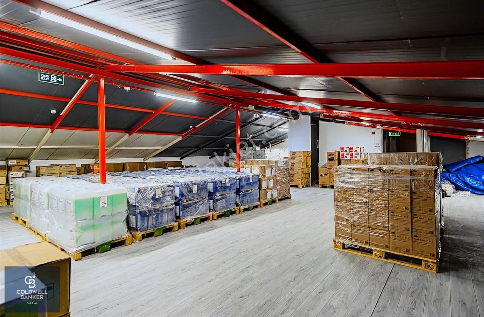 Mall Of İstanbul Karşısı 1500 M2 Satılık Komple Bina - Görsel 6