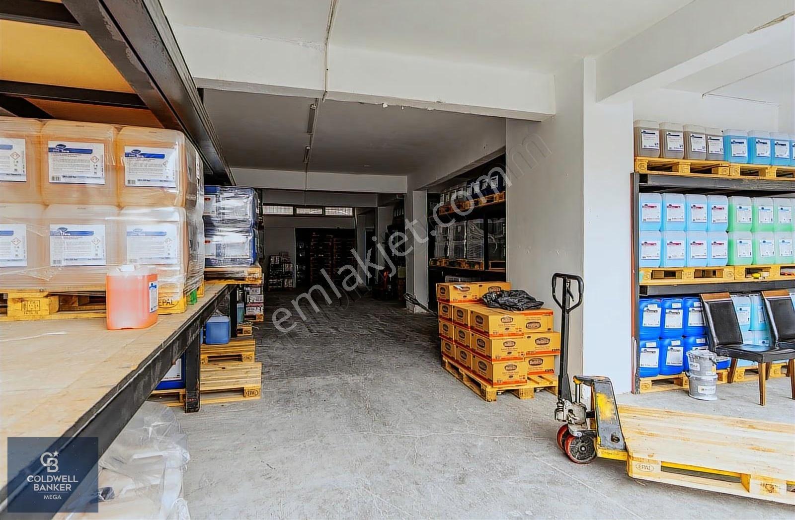 Mall Of İstanbul Karşısı 1500 M2 Satılık Komple Bina - Görsel 2