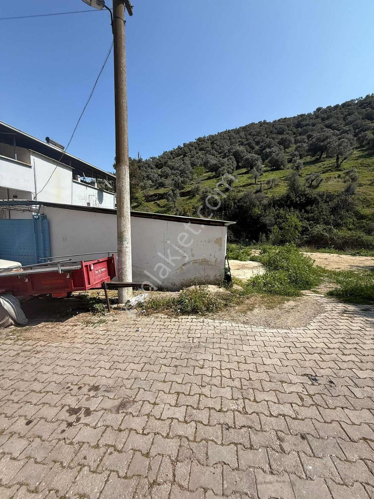 Aydın Koçarlı Merkezde Satılık İmarlı Arsa - Görsel 12