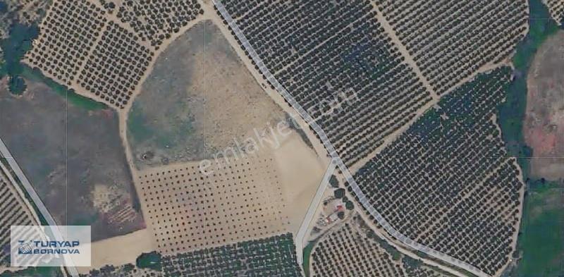 Lapseki'de İyi Konumda Satılık 10.404 M2 Bağ