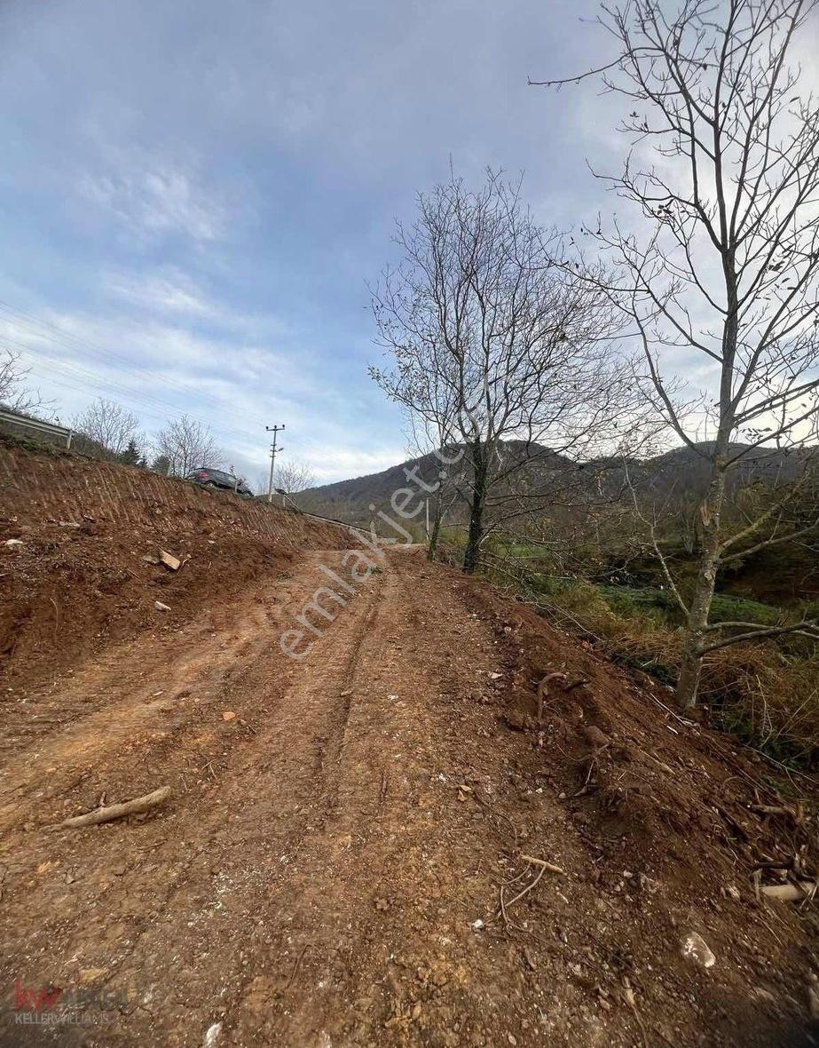 Kw Arven'den Yuvacık Tepecik Köy İçi İmarlı Eğimsiz Tarla - Görsel 8