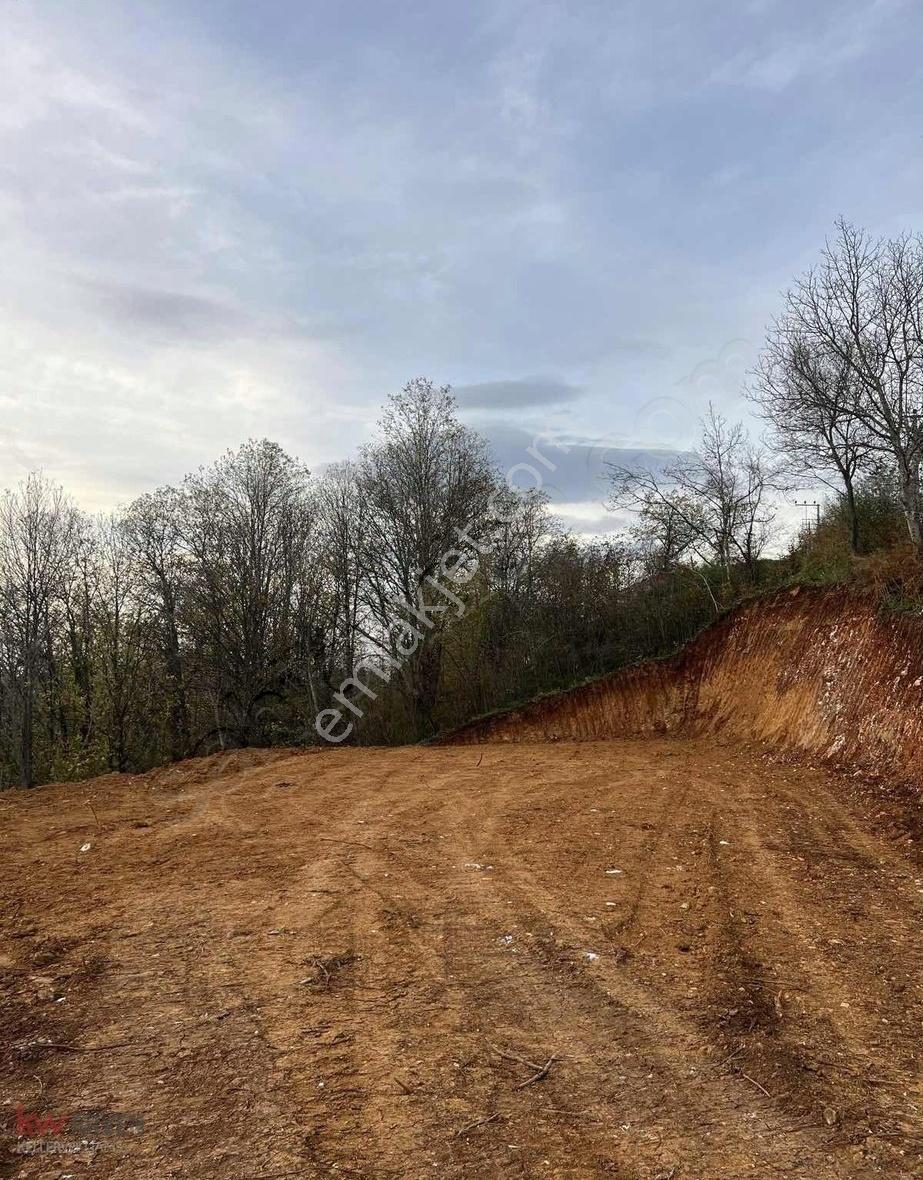 Kw Arven'den Yuvacık Tepecik Köy İçi İmarlı Eğimsiz Tarla - Görsel 6