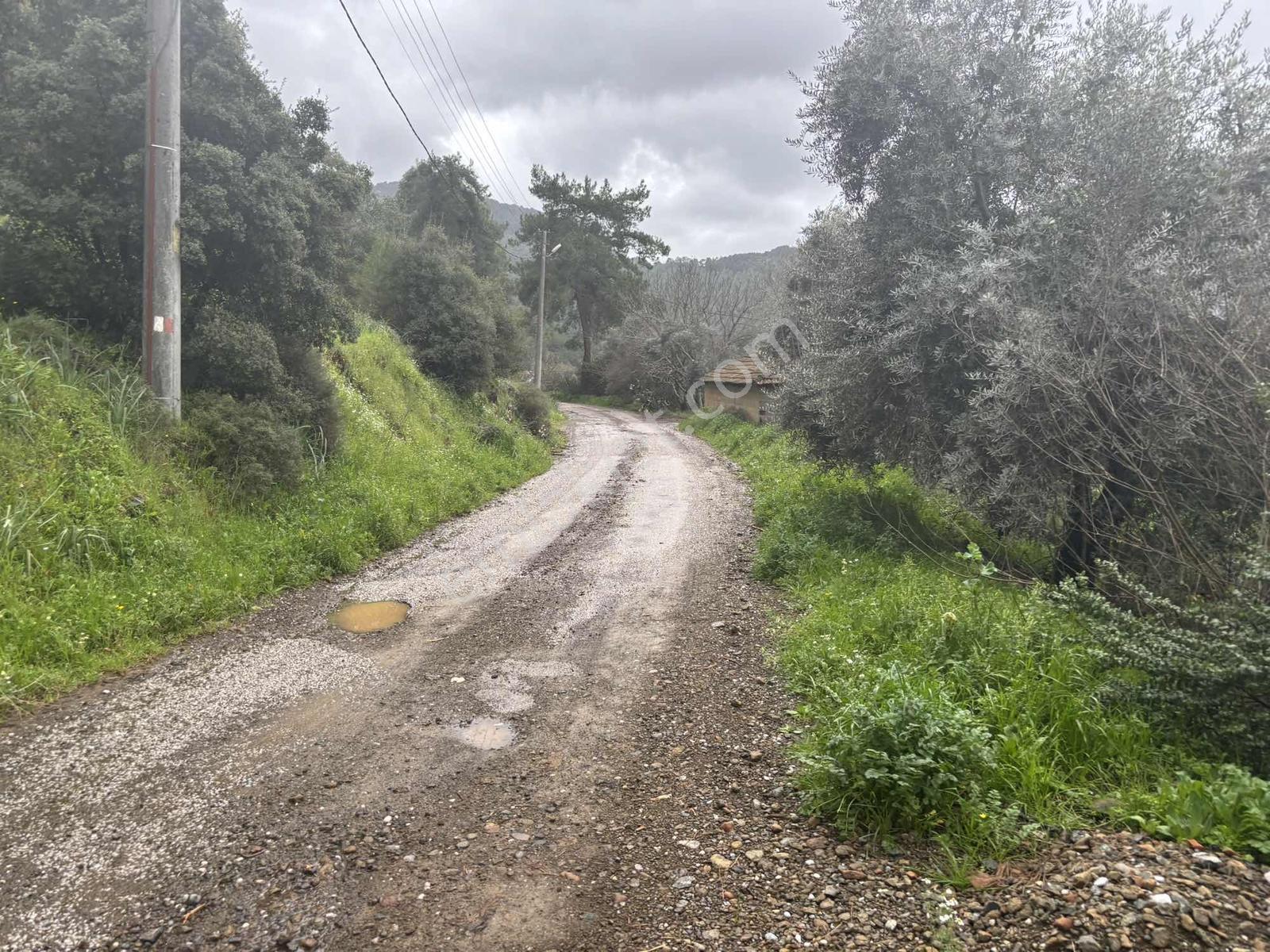 Nysa Emlak'tan Satılık 370 M2 Rızai Taksimli Hisse - Görsel 3