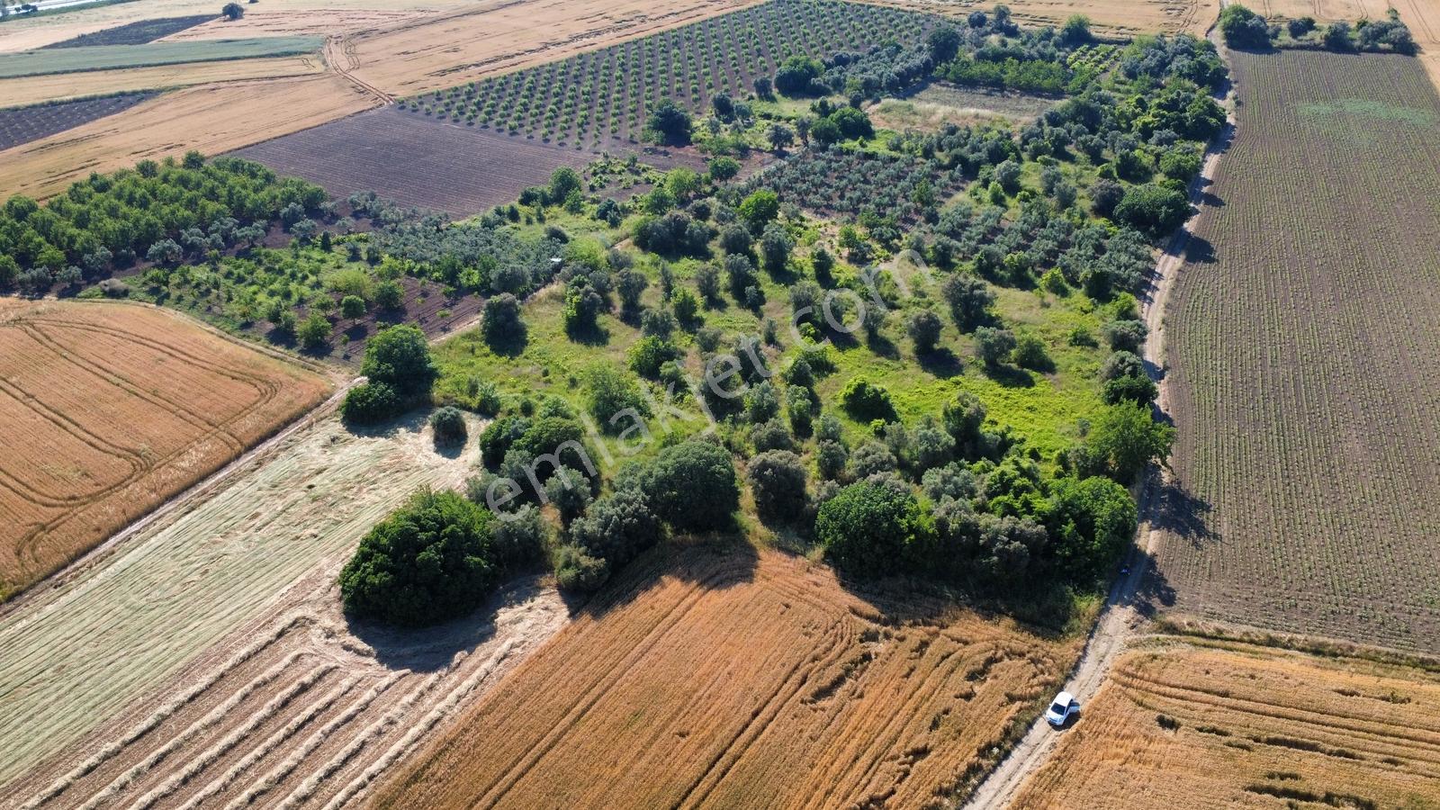 Resmi Yolu Bulunan Satılık Bağ Yeri - Görsel 8