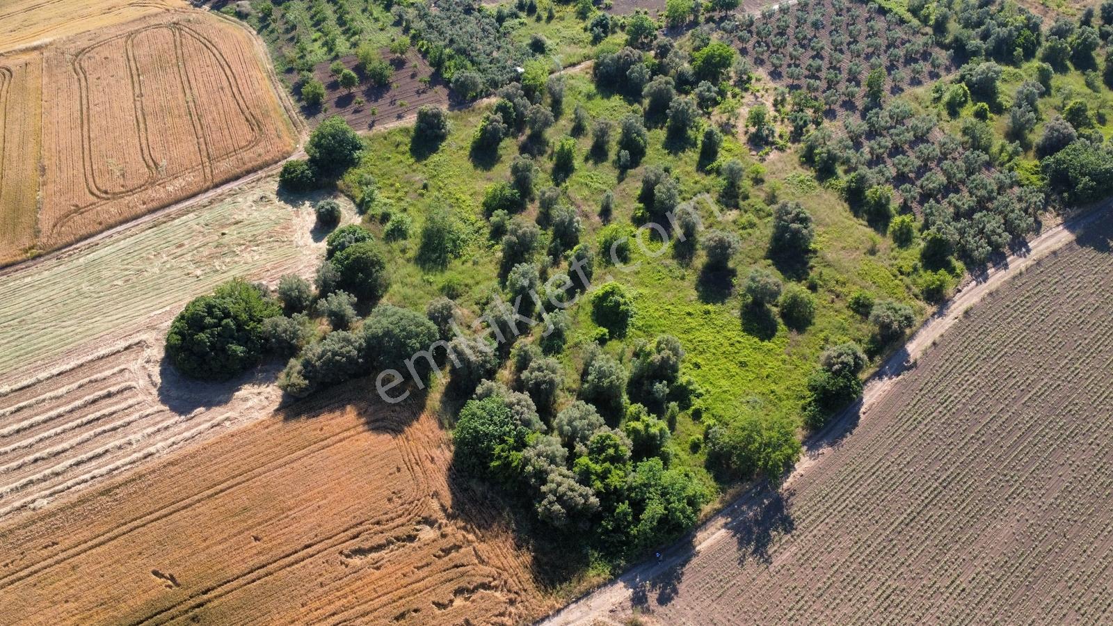 Resmi Yolu Bulunan Satılık Bağ Yeri - Görsel 15