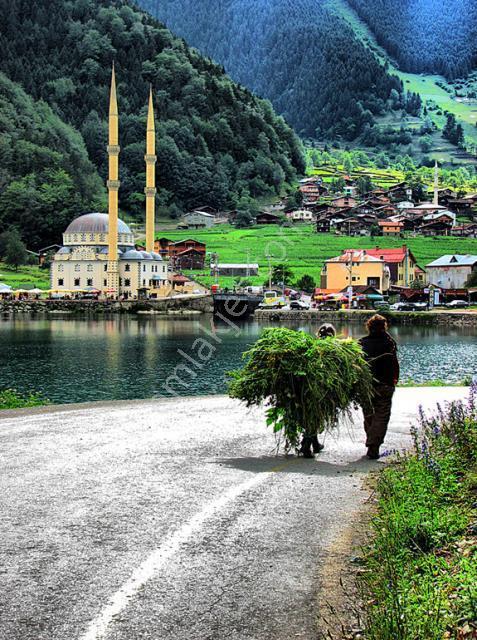 Trabzon Uzungöl De Satılık Otel - Görsel 18