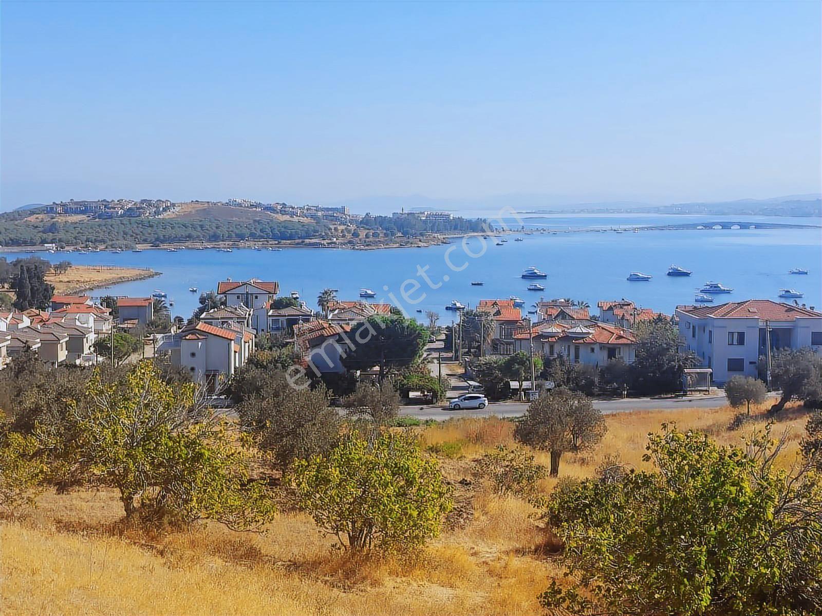 Cunda Adasında Deniz Manzaralı 8.400 M² Zeytinlikyeni Yol Üstü - Görsel 11