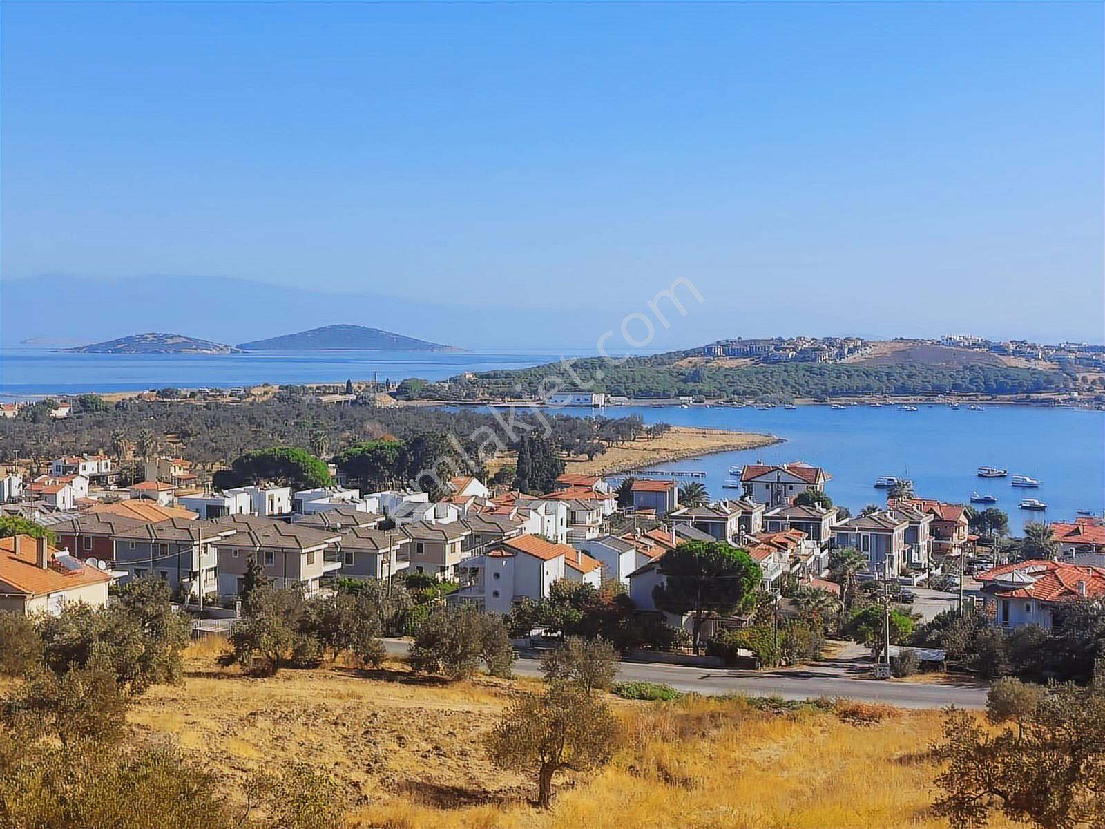 Cunda Adasında Deniz Manzaralı 8.400 M² Zeytinlikyeni Yol Üstü - Görsel 29