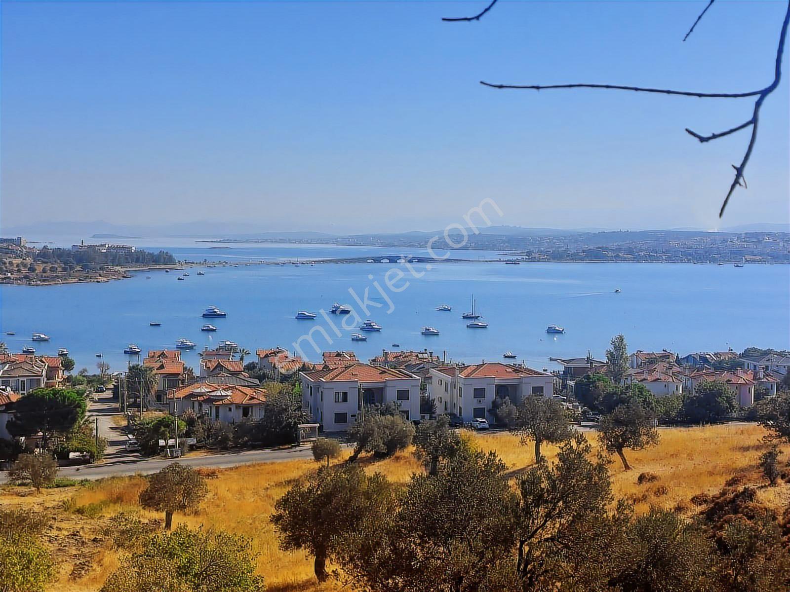 Cunda Adasında Deniz Manzaralı 8.400 M² Zeytinlikyeni Yol Üstü - Görsel 31